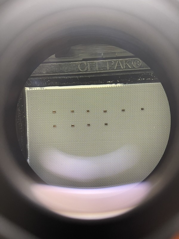 QTY 10 - TESTED - HMC655 0-50GHz 6dB Attenuator - Hittite/Analog Devices gallery